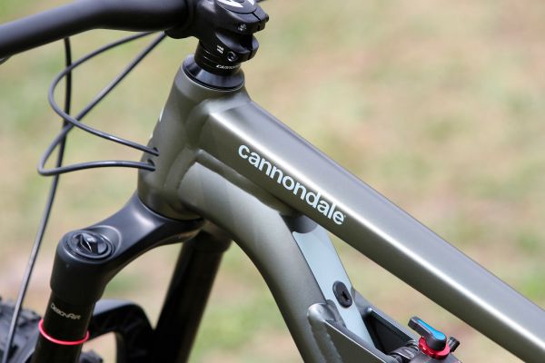 Cannondale Jekyll 29 4