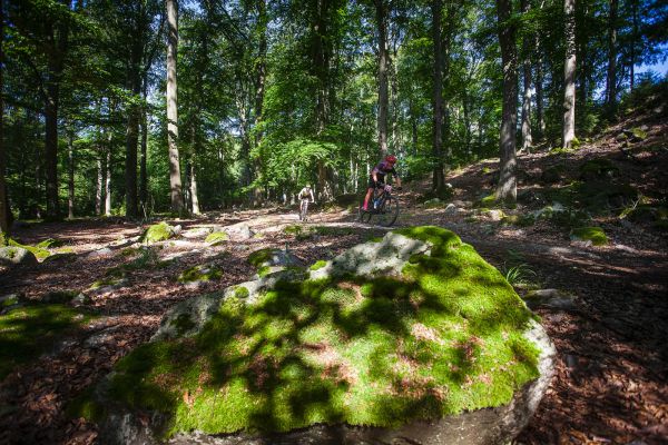 Kolo pro život 2020 #4 - Trans Brdy