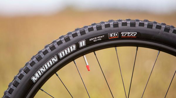 Cannondale Jekyll 29 4