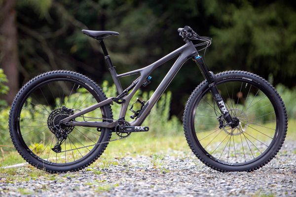 Stumpjumper EVO Comp Carbon 29