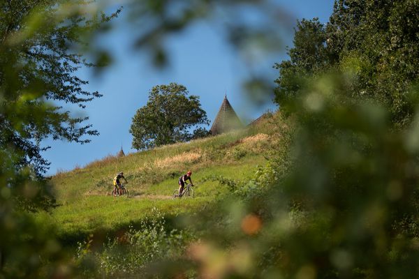 Author Šela Marathon 2020