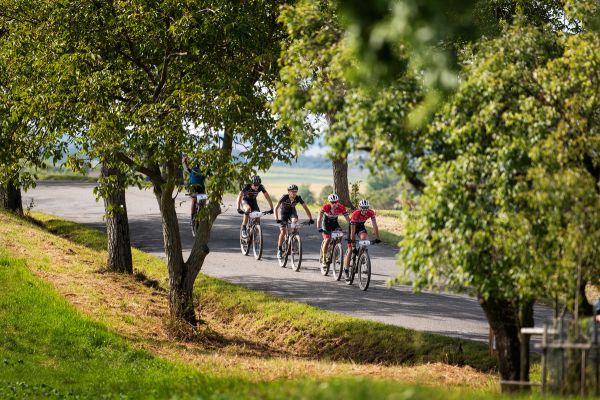 Author Šela Marathon 2020