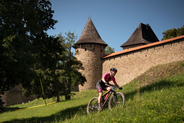 Author Šela Marathon 2020