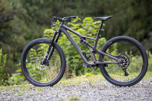 Stumpjumper EVO Comp Carbon 29