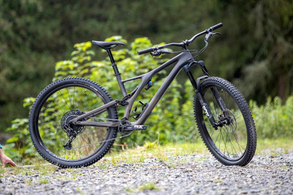Stumpjumper EVO Comp Carbon 29