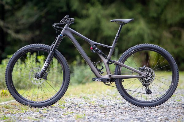 Stumpjumper EVO Comp Carbon 29