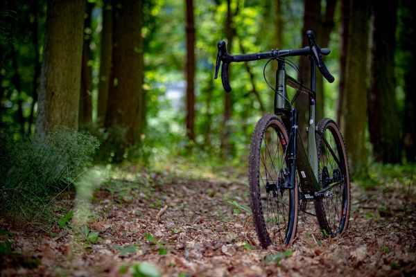 Cannondale Topstone Carbon Lefty 3