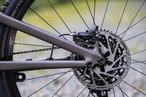 Stumpjumper EVO Comp Carbon 29