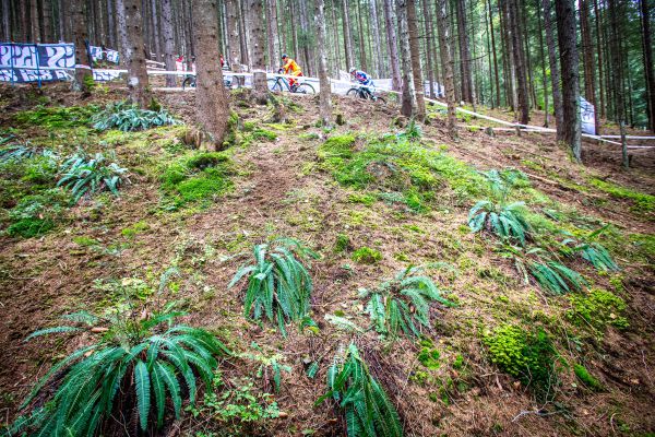 MS MTB 2020 - 1.den - to Rakousko, to je zahrádka