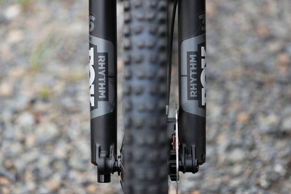 Stumpjumper EVO Comp Carbon 29