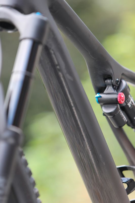 Stumpjumper EVO Comp Carbon 29