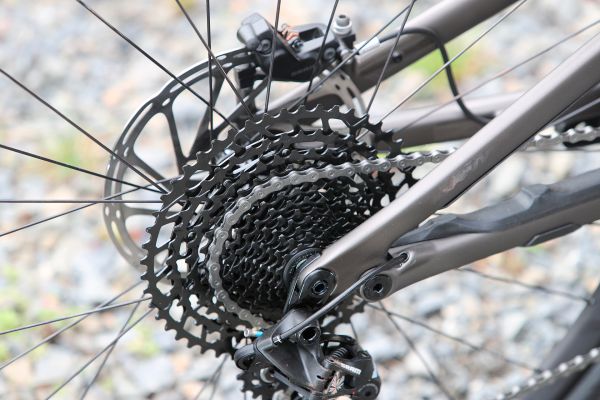 Stumpjumper EVO Comp Carbon 29