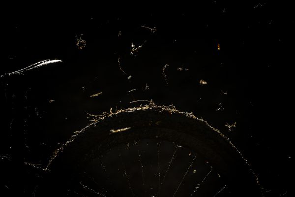 Mistrovství světa Leogang 2020 - juniorky & junioři