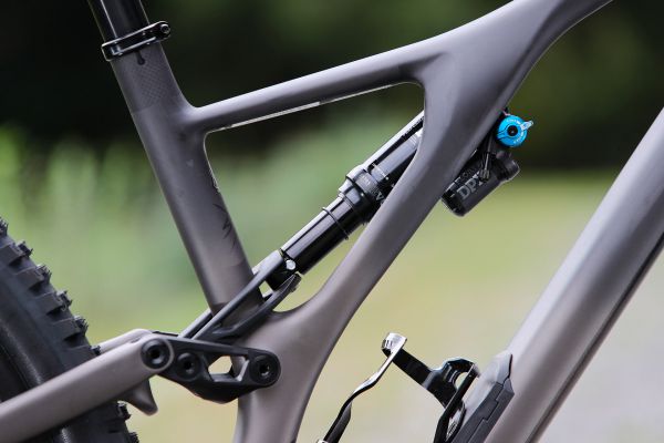 Stumpjumper EVO Comp Carbon 29