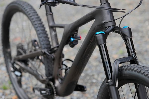 Stumpjumper EVO Comp Carbon 29
