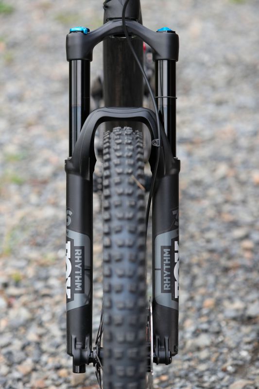 Stumpjumper EVO Comp Carbon 29