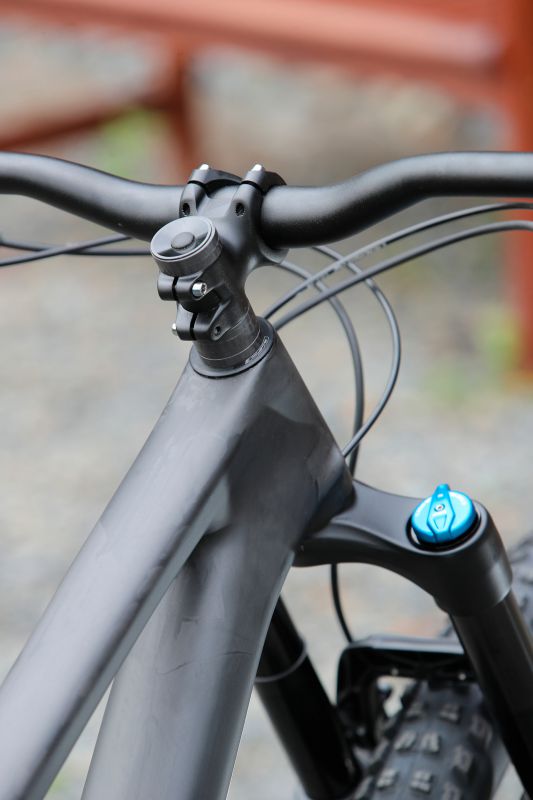 Stumpjumper EVO Comp Carbon 29