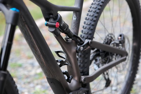 Stumpjumper EVO Comp Carbon 29