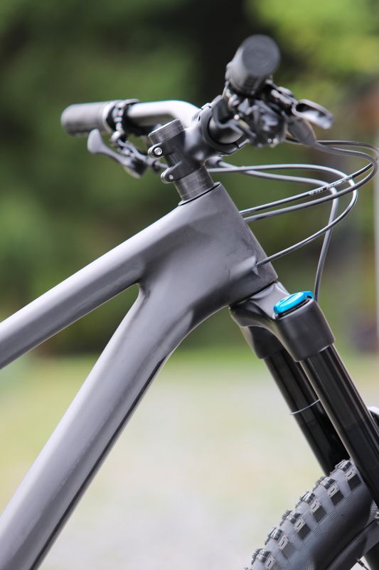 Stumpjumper EVO Comp Carbon 29