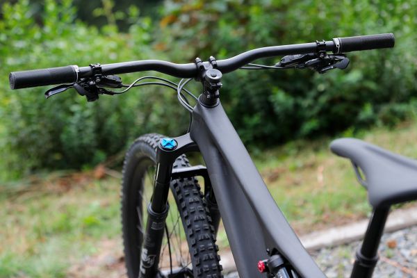 Stumpjumper EVO Comp Carbon 29