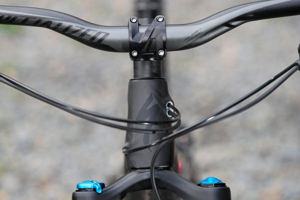 Stumpjumper EVO Comp Carbon 29