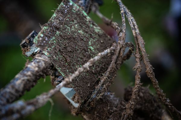 Mistrovství světa Leogang 2020 - juniorky & junioři