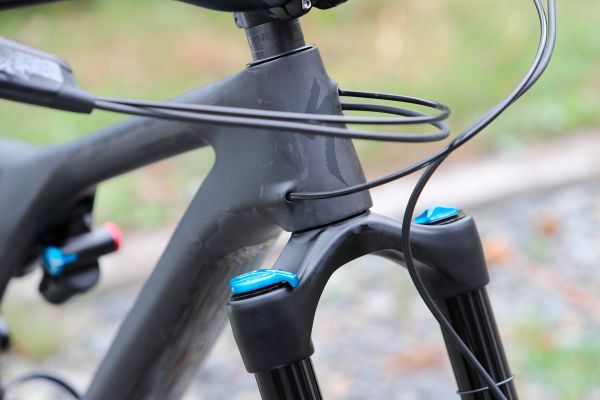 Stumpjumper EVO Comp Carbon 29