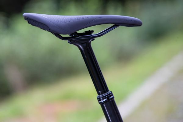 Stumpjumper EVO Comp Carbon 29