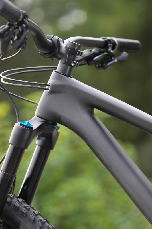 Stumpjumper EVO Comp Carbon 29