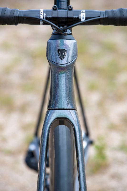 Trek Domane SLR eTap Project One