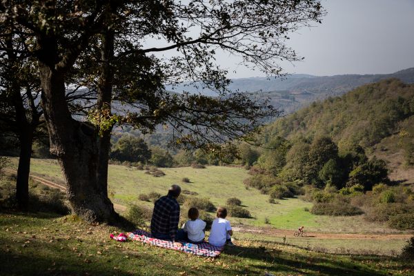 Mistrovství světa XCM Sakarya 2020