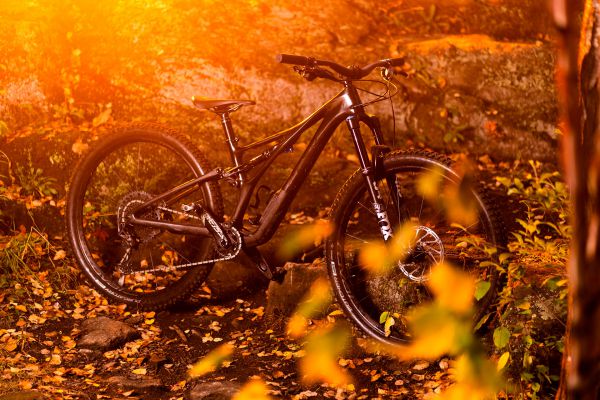 Specialized Stumpjumper 2021