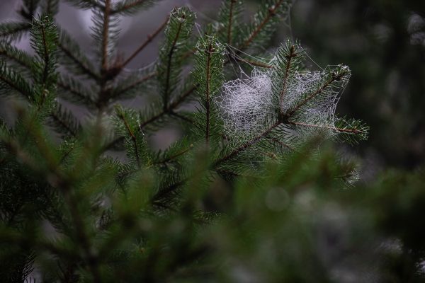 Mistrovství světa XCO 2020 - U23