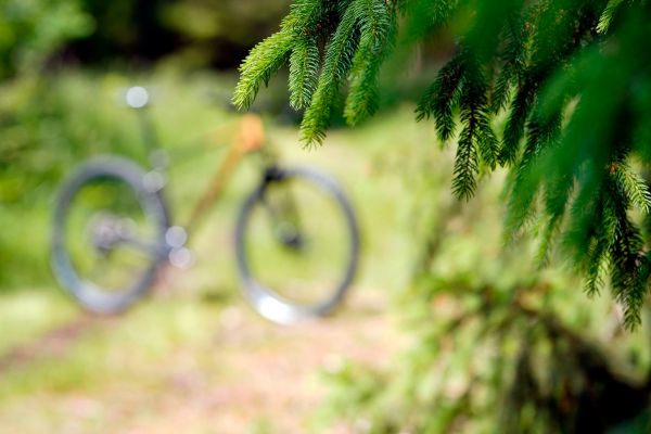 Giant XTC Advanced 29 2