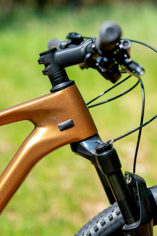 Giant XTC Advanced 29 2