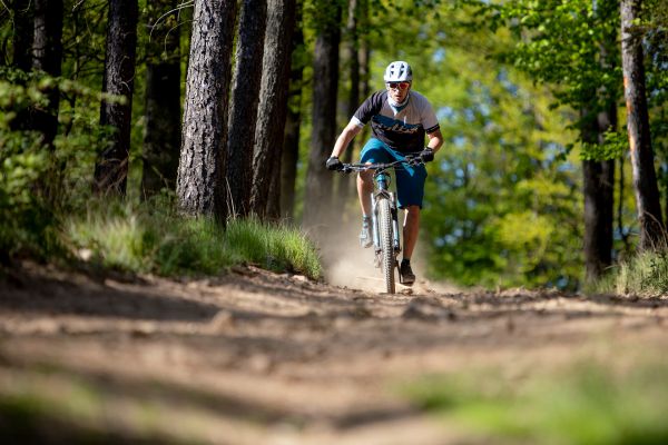 Trek Rail vs. Remedy