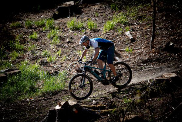 Trek Rail vs. Remedy