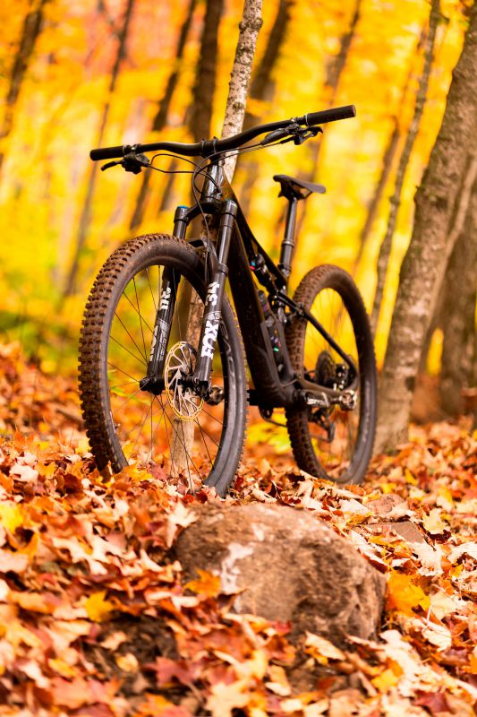 Specialized Stumpjumper 2021