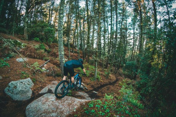 Merida Ninety Six 2021