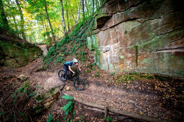 Giant Trance X Advanced PRO 29 1