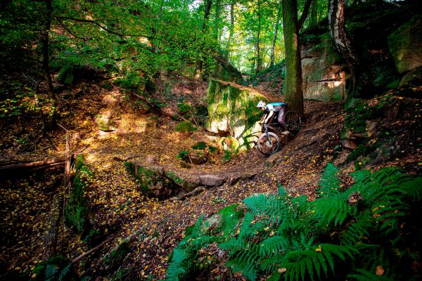 Giant Trance X Advanced PRO 29 1