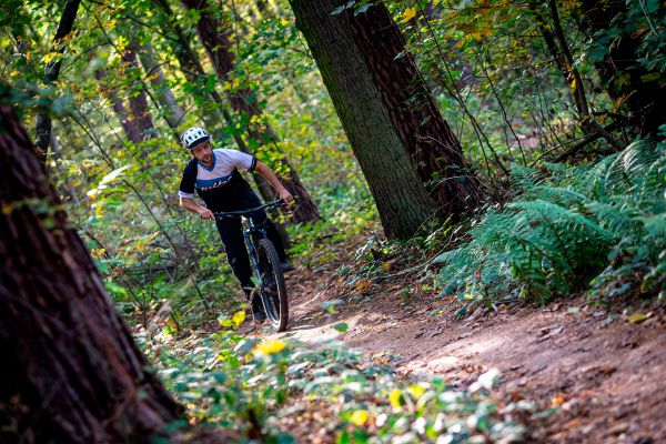 Giant Trance X Advanced PRO 29 1