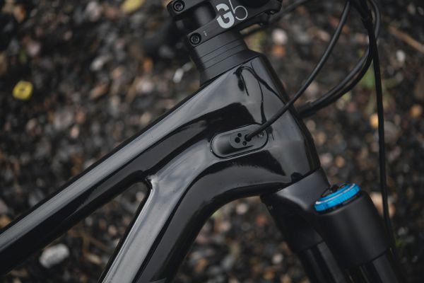 Canyon Spectral 2021