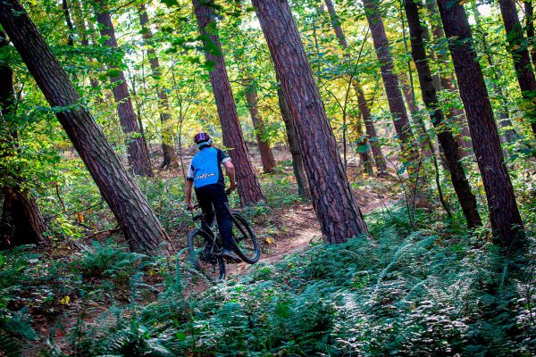 Giant Trance X Advanced PRO 29 1