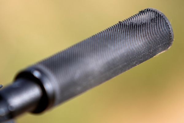 Specialized Epic EVO Expert 2021