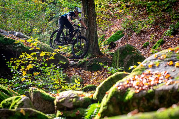 Giant Trance X Advanced PRO 29 1