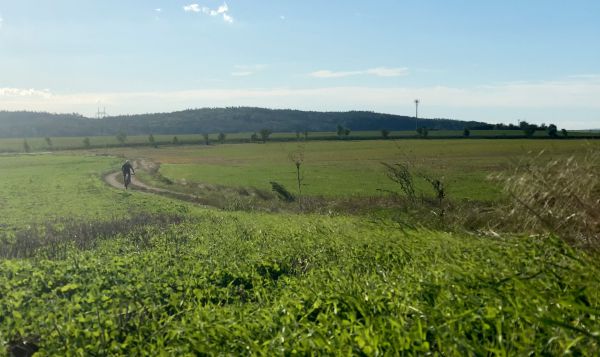 Specialized Epic EVO Expert 2021