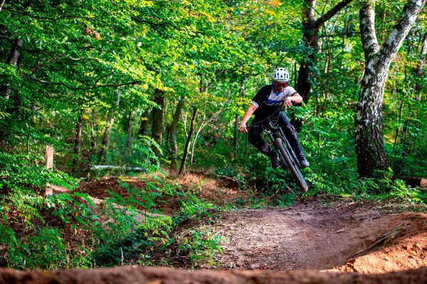 Giant Trance X Advanced PRO 29 1