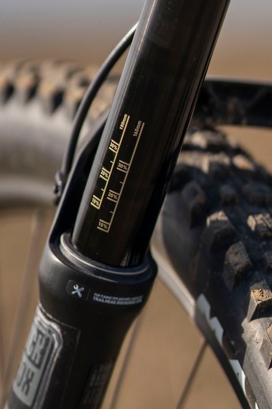 Cannondale Moterra Neo Carbon 2