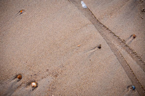 Mistrovství světa v cyklokrosu - Oostende 2021 - trénink